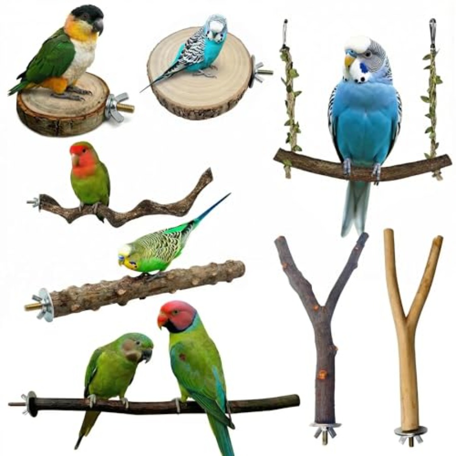 8PCS natural wood bird perches - огляд і ціна Health & Wellness Events