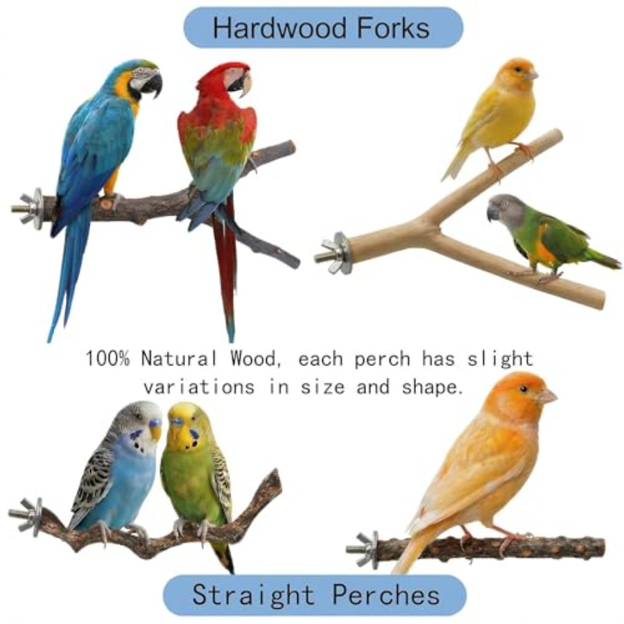8PCS natural wood bird perches - огляд і ціна Health & Wellness Events